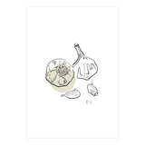 Garlic (Print Only) thumbnail