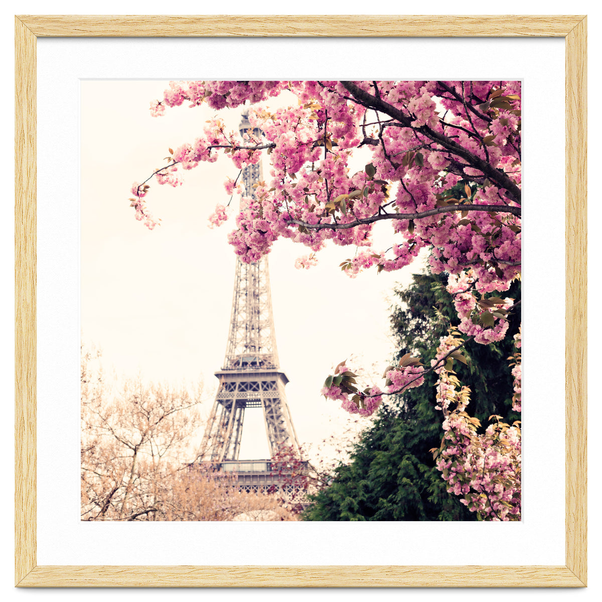 Paris in the Spring