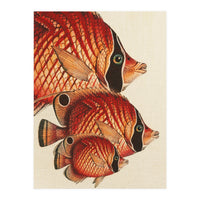 Fish Classic Designs 2 (Print Only)