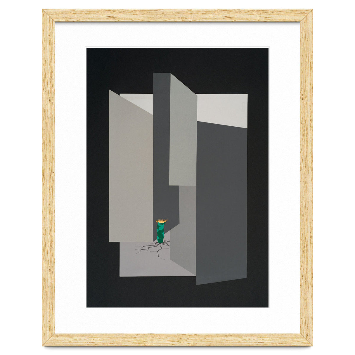 Small flower in concrete landscape.