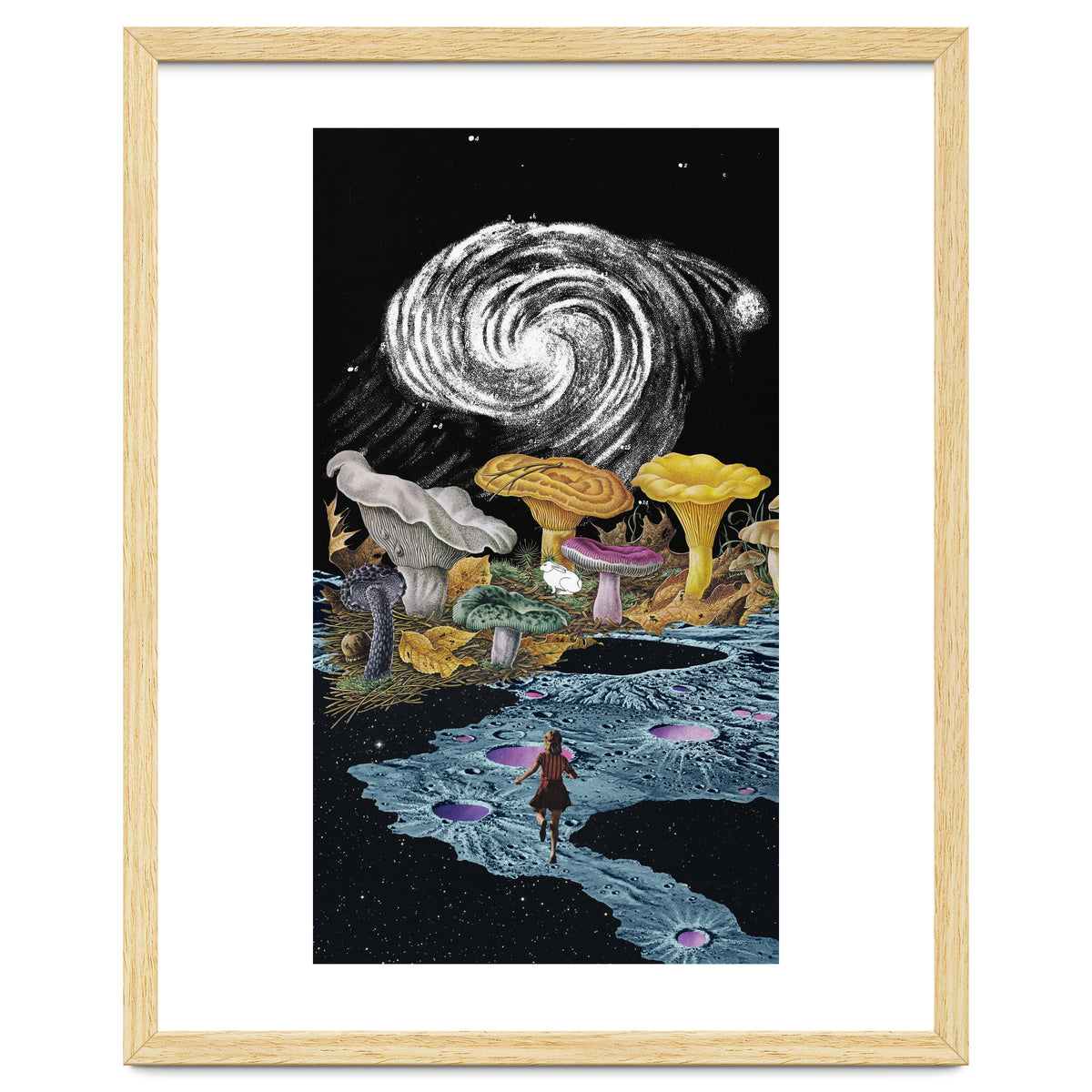 Follow The White Rabbit