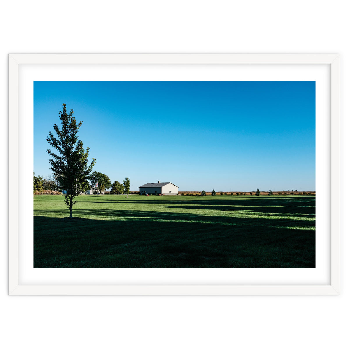 Summer evening, rural Illinois