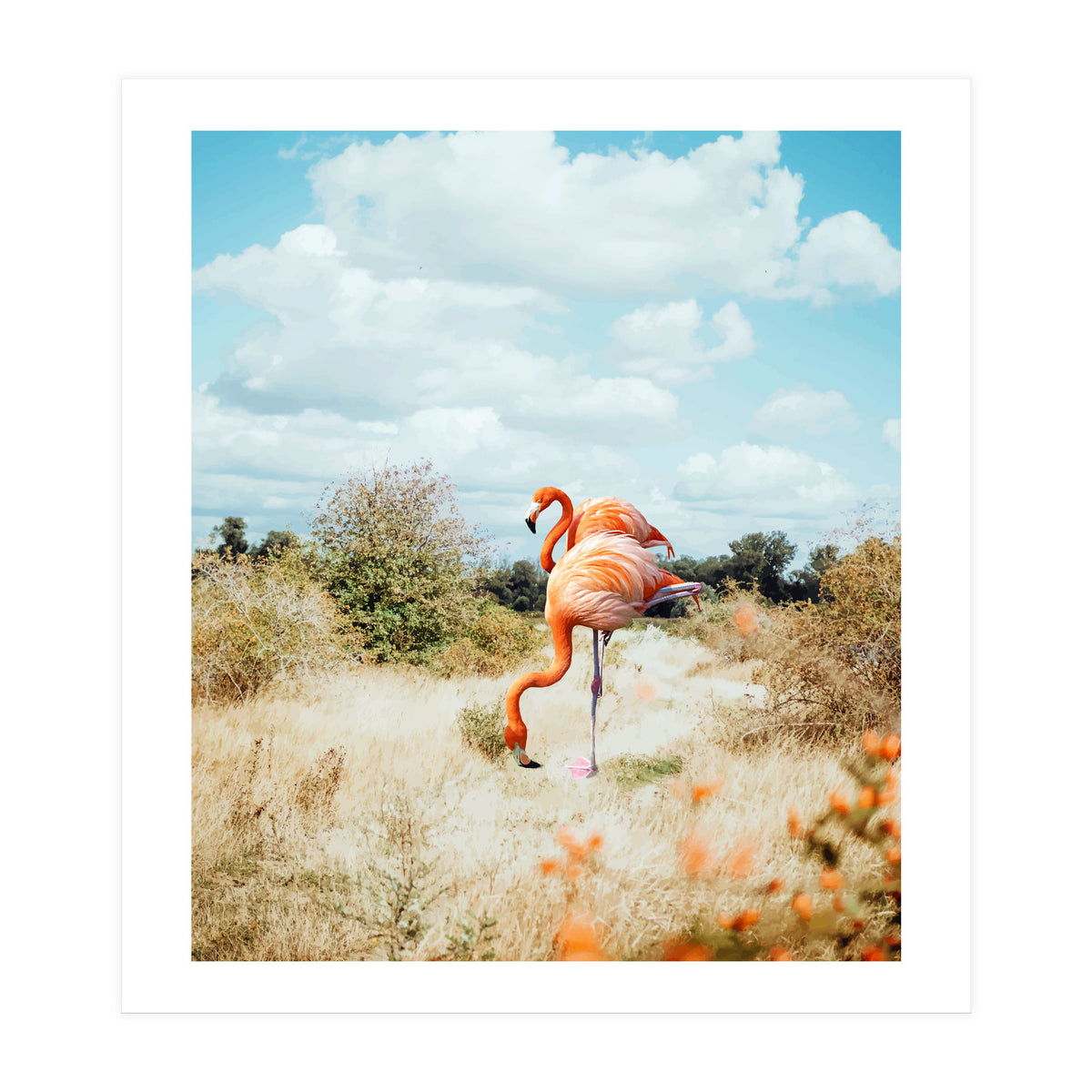 Flamingo Couple (Print Only)
