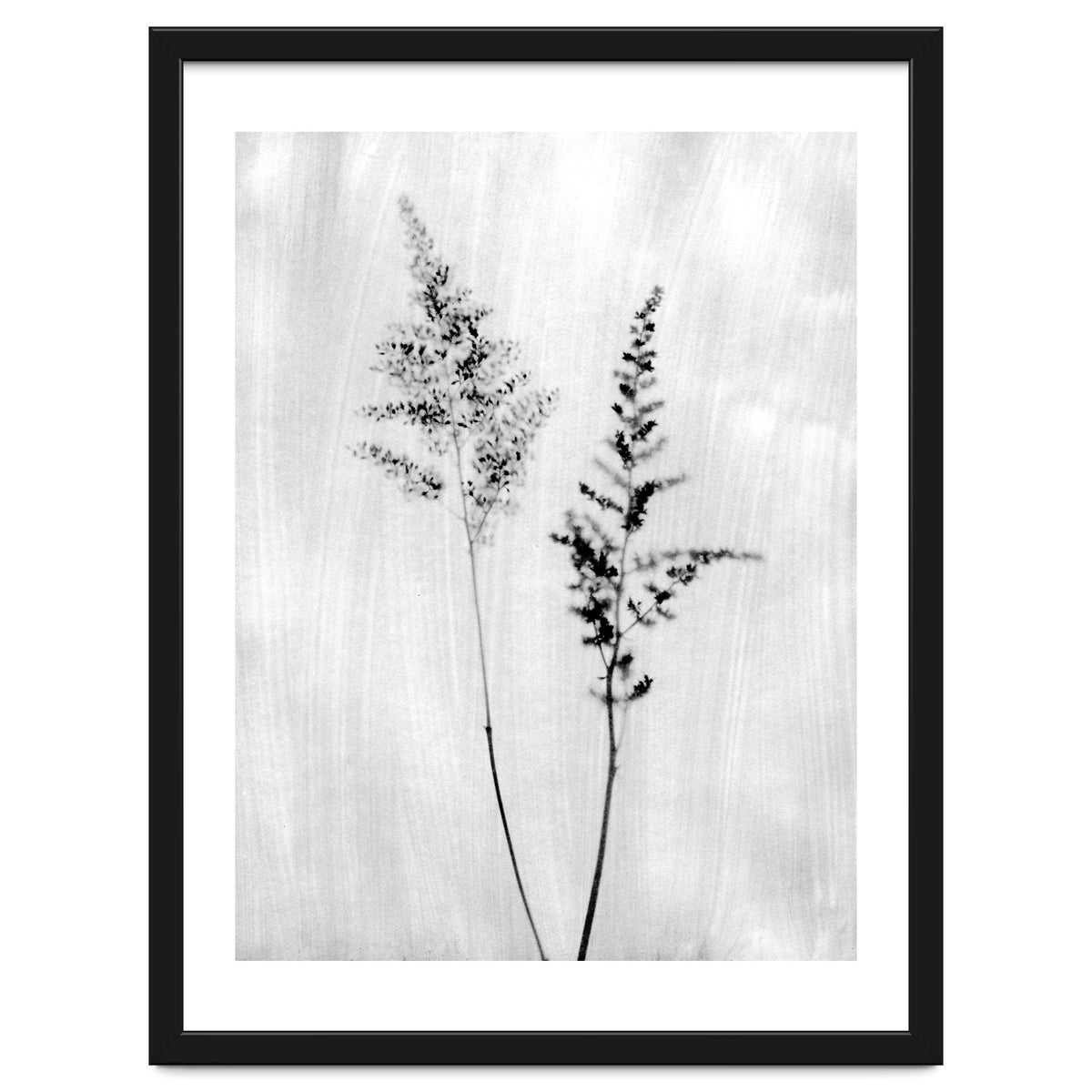 Delicate Wildflowers