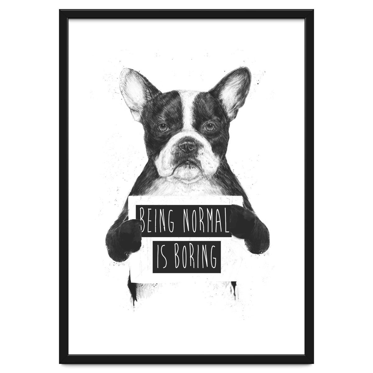 Being Normal Is Boring