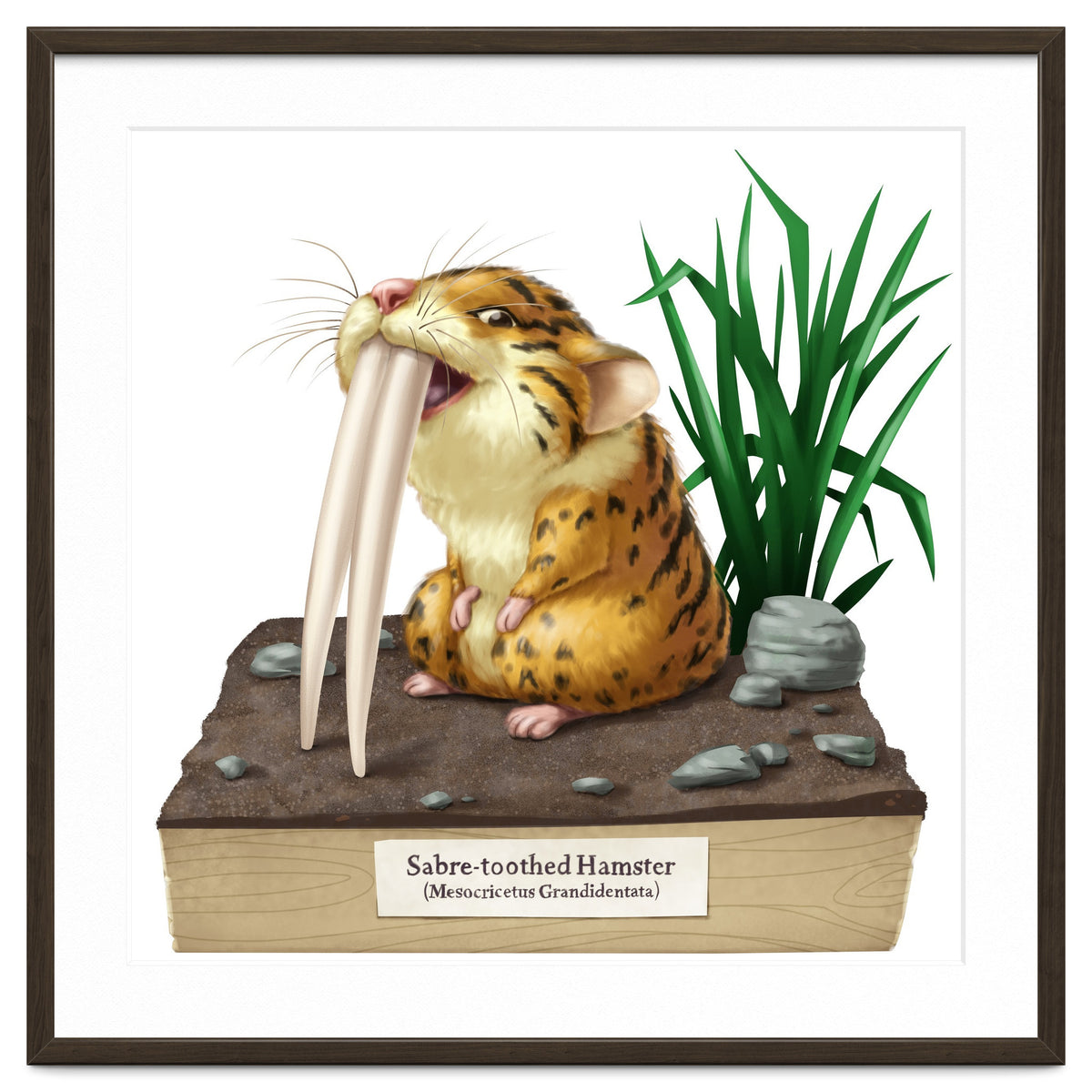 Saber-toothed Hamster