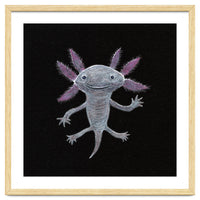 Axolotl