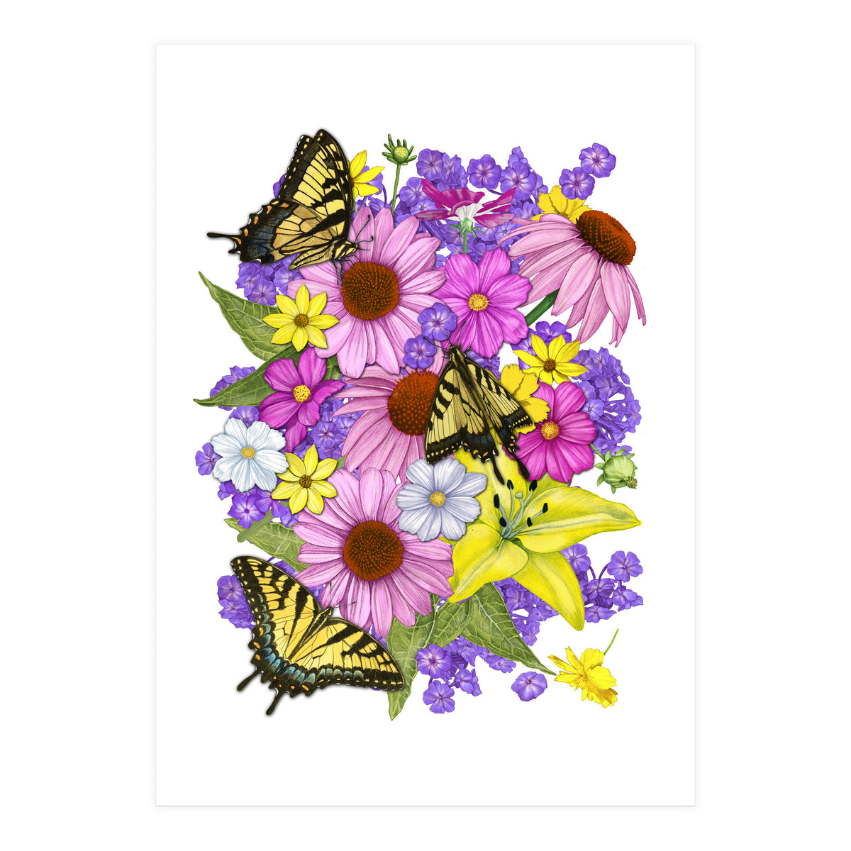 Corn Flowers and Swallowtails (Print Only)