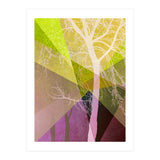 P22 A Trees And Triangles (Print Only) thumbnail