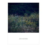 you are not alone - Nature Photography (Print Only) thumbnail