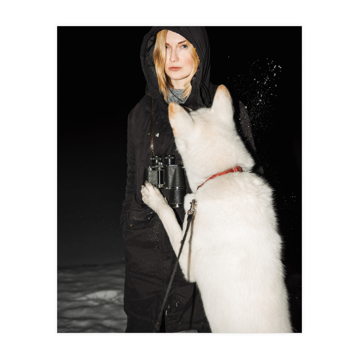 Wolfgang (Print Only)