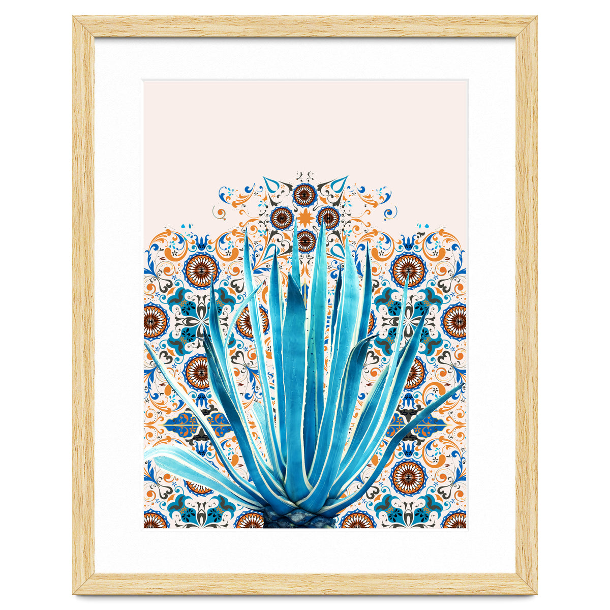 Cactus and Moroccan tiles