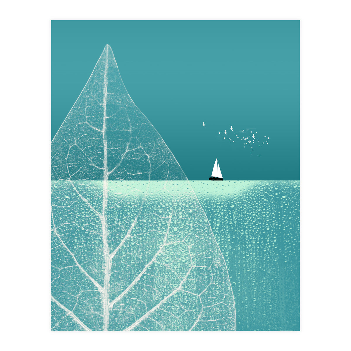 Ocean Wonderland II (Print Only)