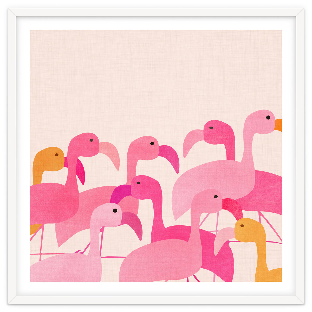 Florida Flamingos