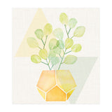 Geometry and House Plant (Print Only) thumbnail