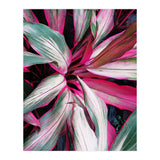 fiore red (Print Only) thumbnail
