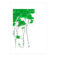 Birch forest (Print Only)