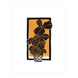 Fiddle Leaf Fig Clean + Sunlight (Print Only) thumbnail