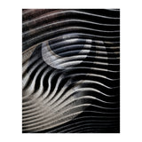 Dark Eyes  (Print Only) thumbnail