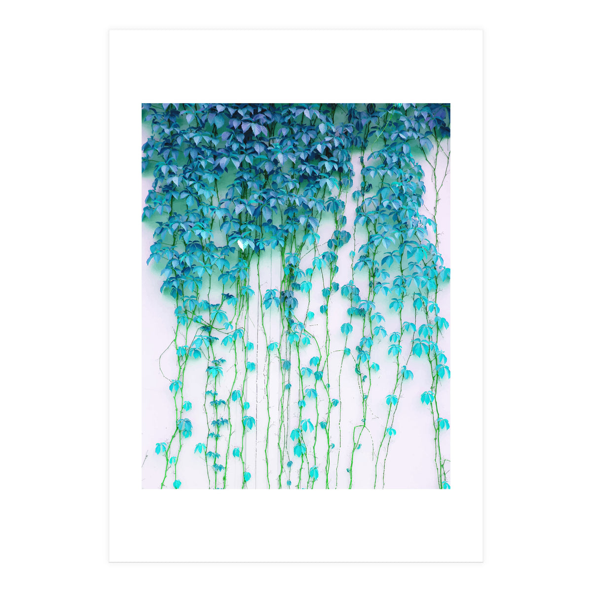 Average Absence, Botanical Minimal Nature Creepers Plants, Tropical Watercolor Bohemian Painting (Print Only)