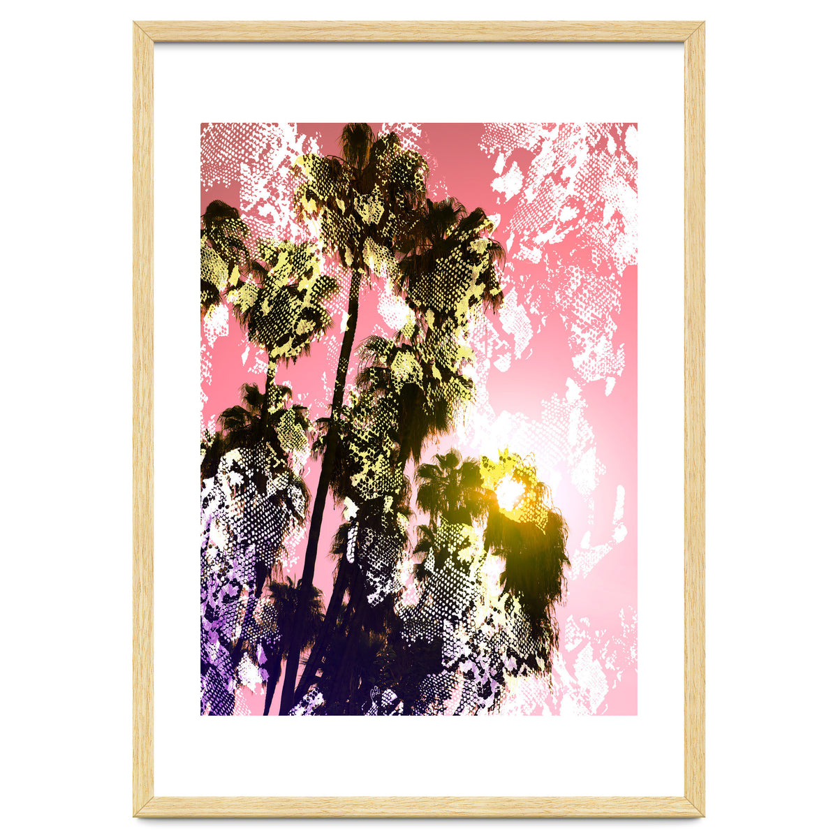 Snake sunset in paradise