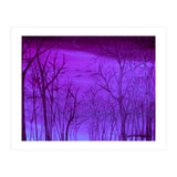 Forest Light (Print Only) thumbnail