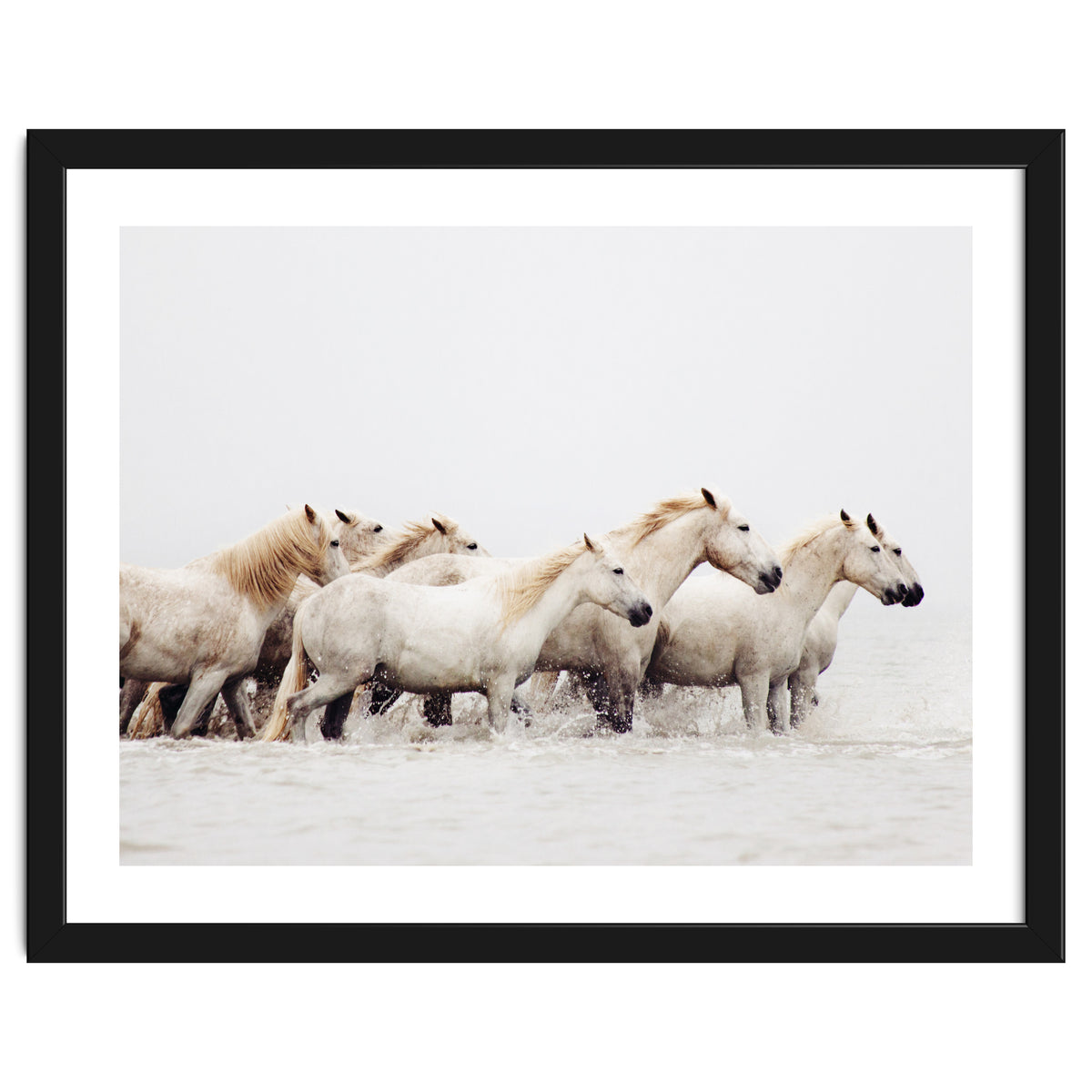 White Horses - Nature Photography