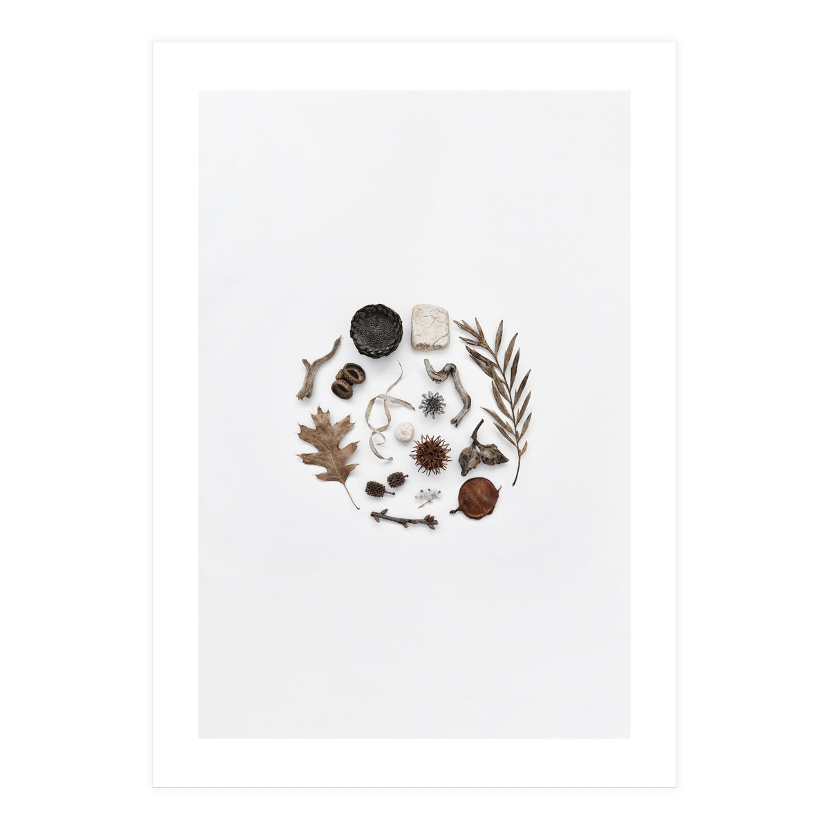 Treasures From Nature No. 2 (Print Only)