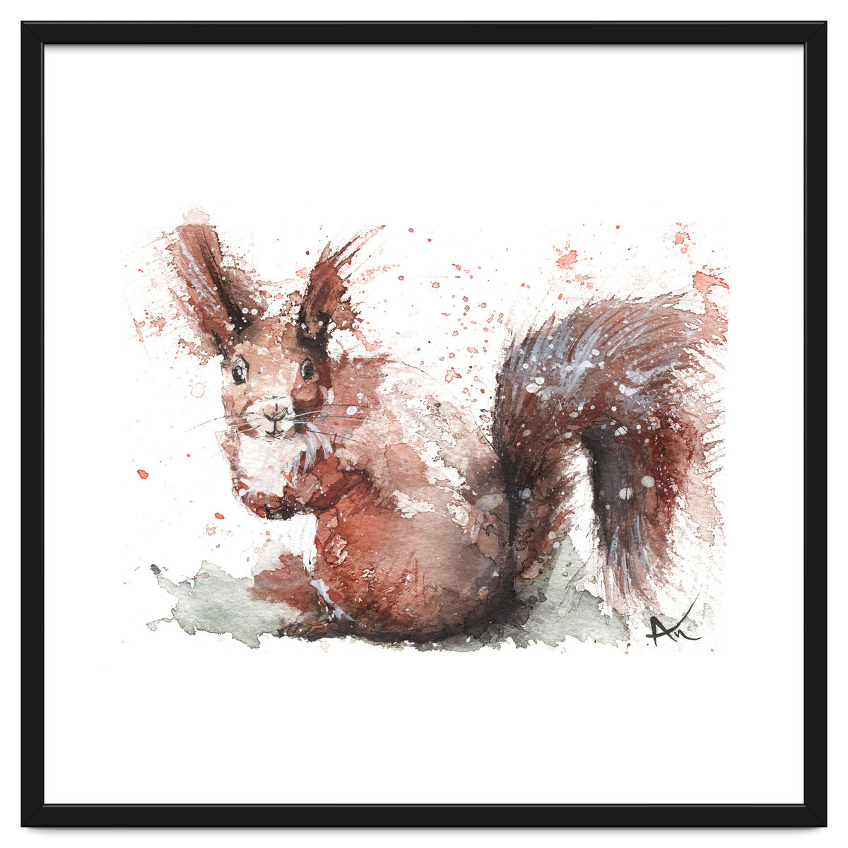 Squirrel - Wildlife Collection