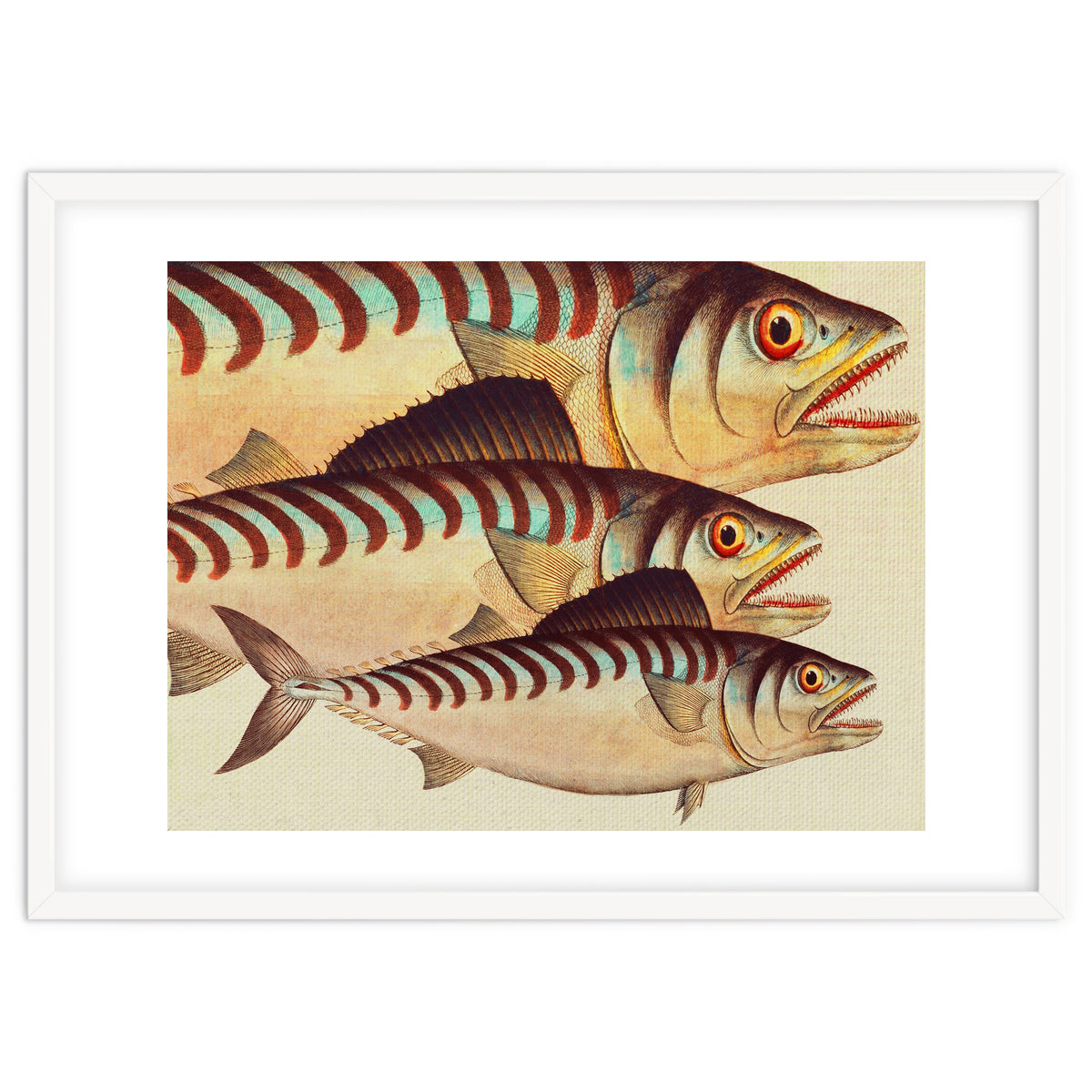 Fish Classic Designs 8