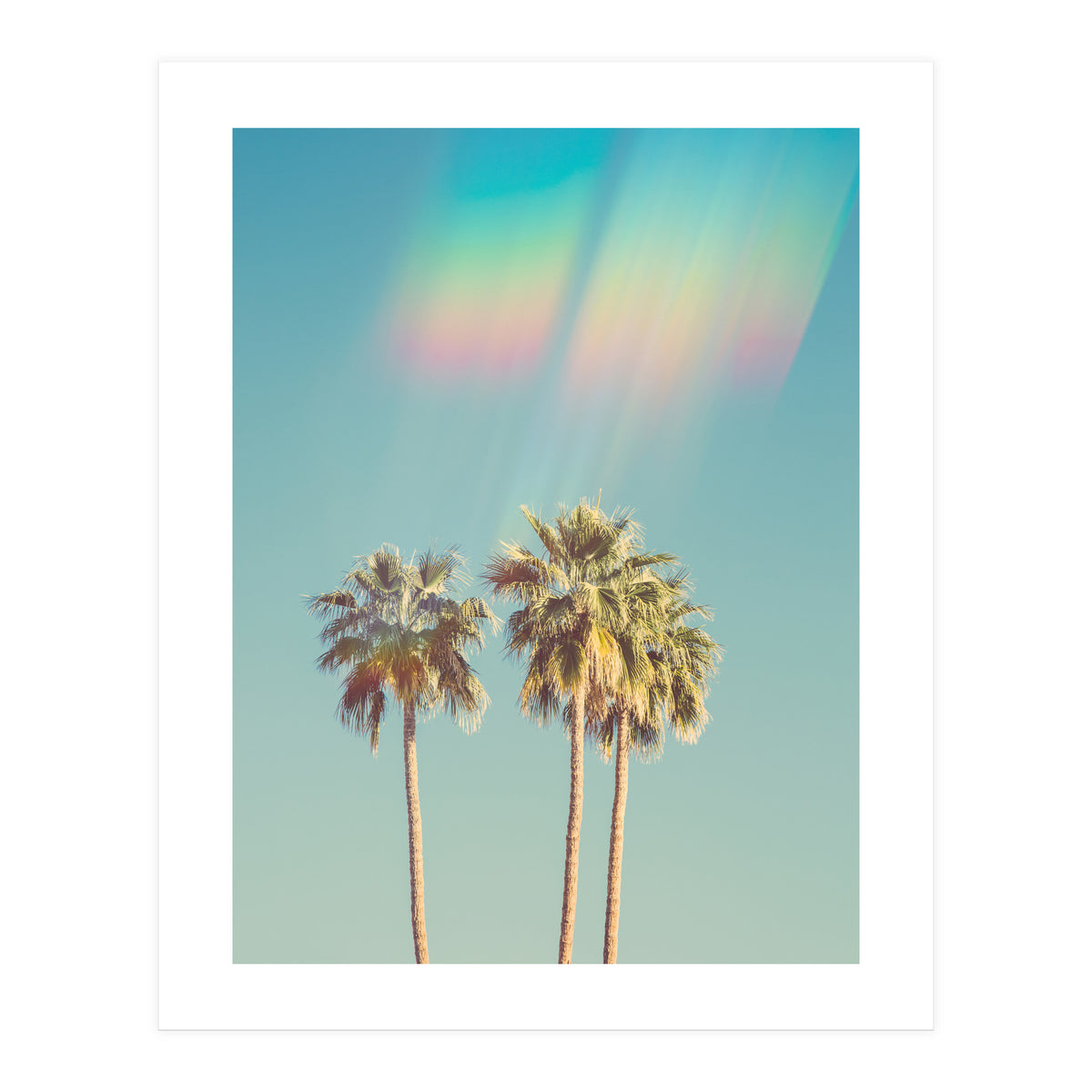 Groovy California Palm Trees (Print Only)
