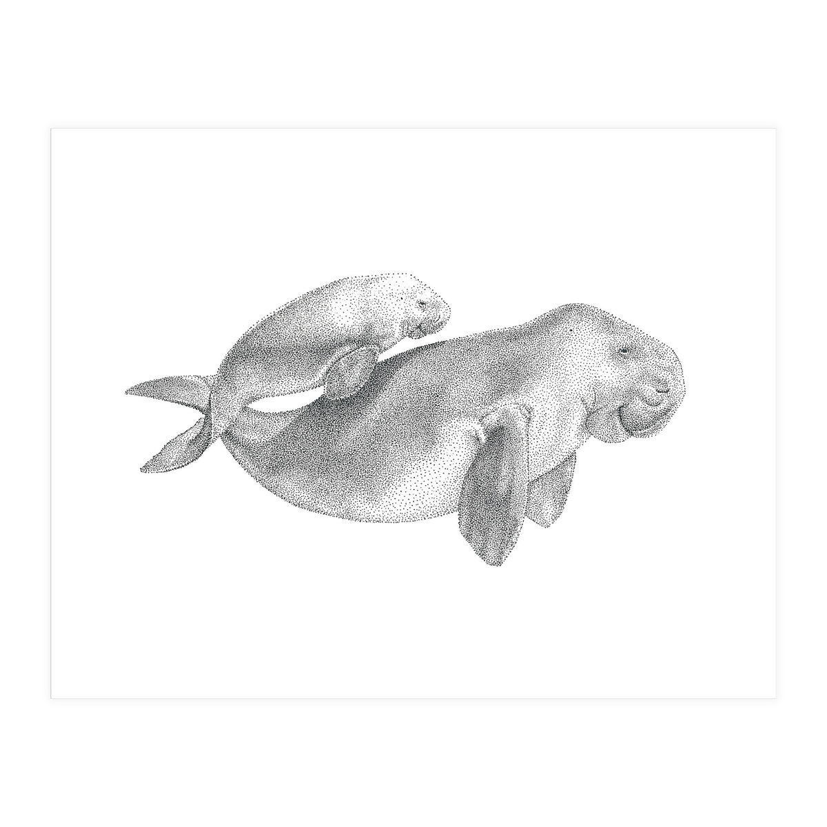 Dugongs no. 1 (Print Only)