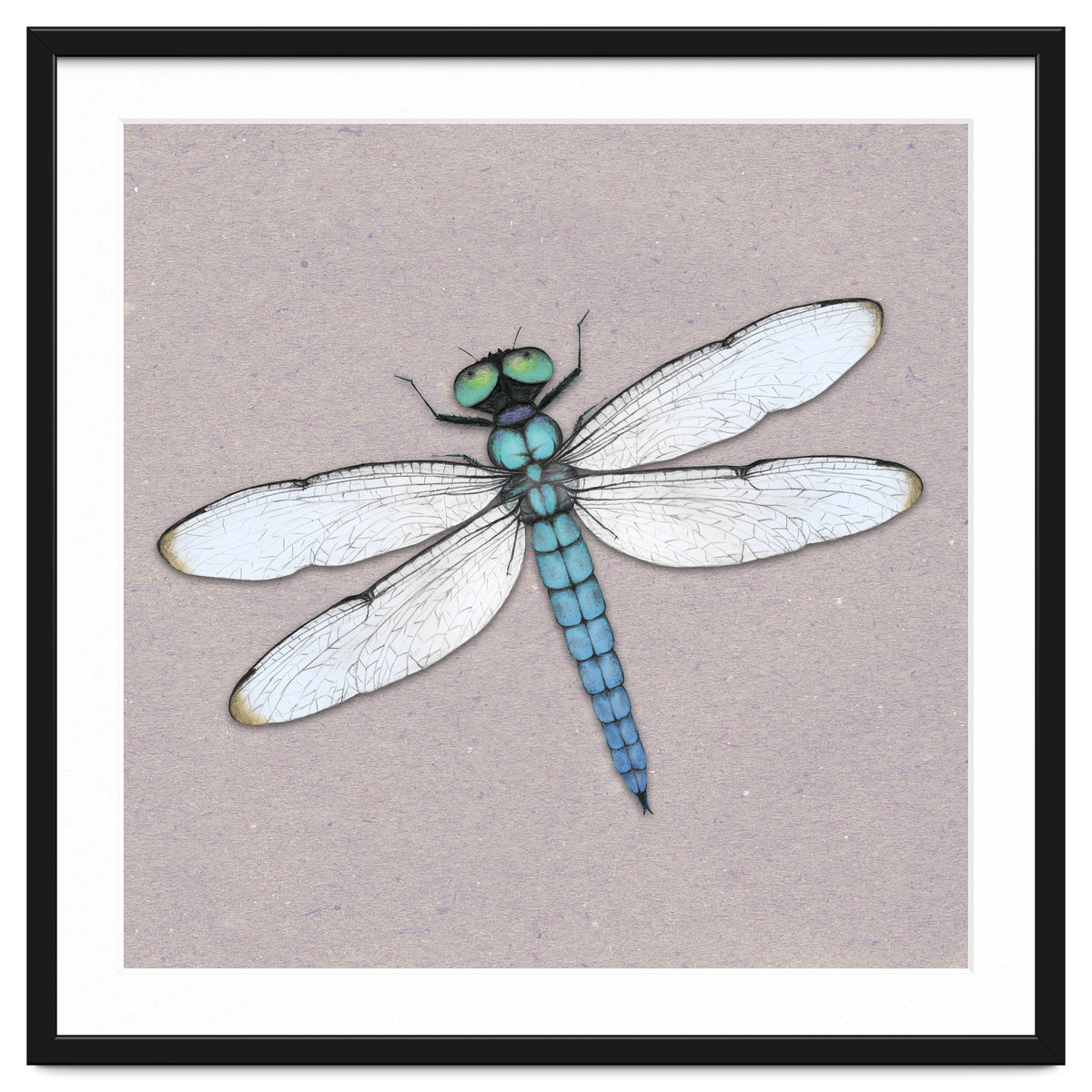 Blue dragonfly