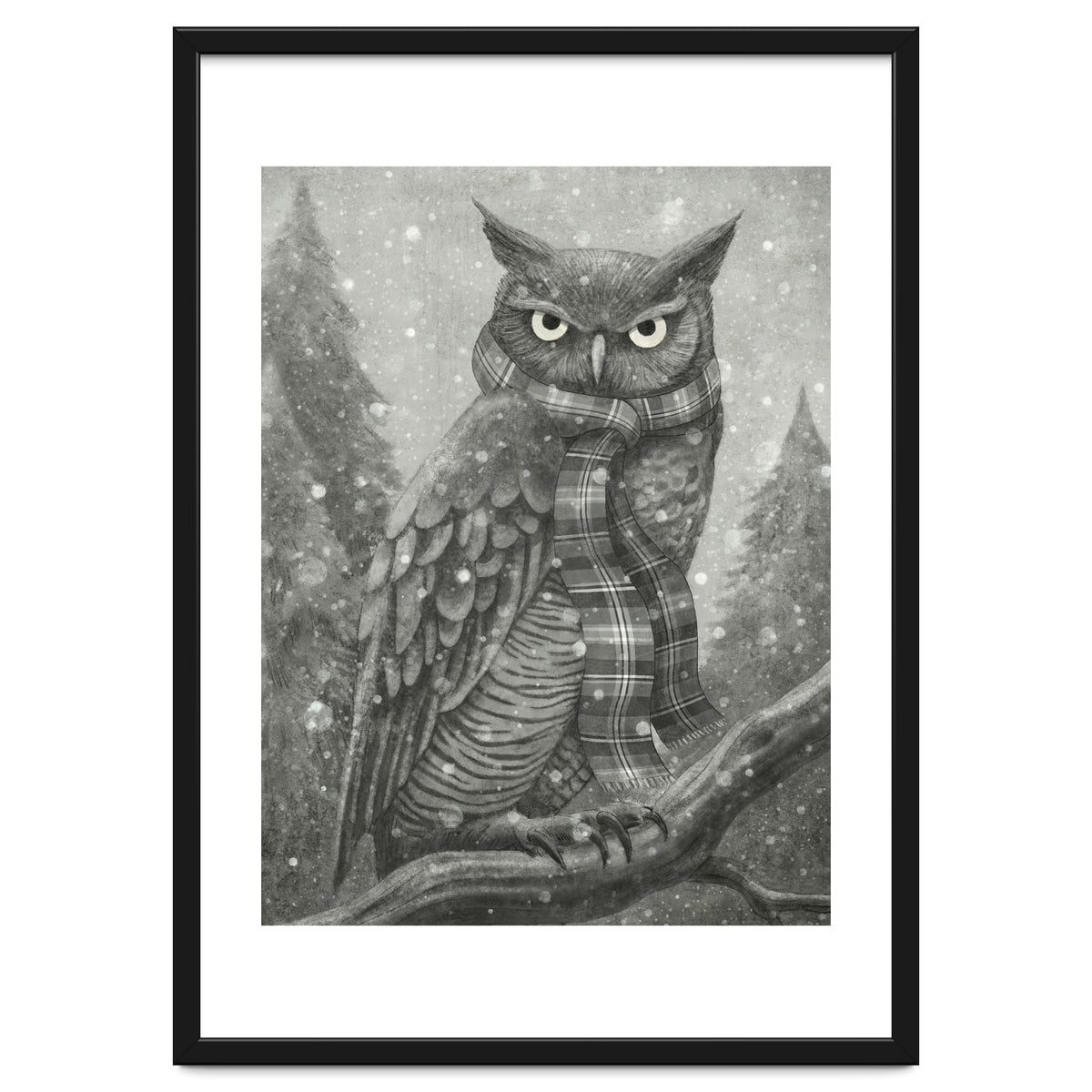 Winter Owl