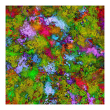 Above The Tree Canopy (Print Only) thumbnail
