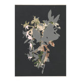The First Plant · Black (Print Only) thumbnail