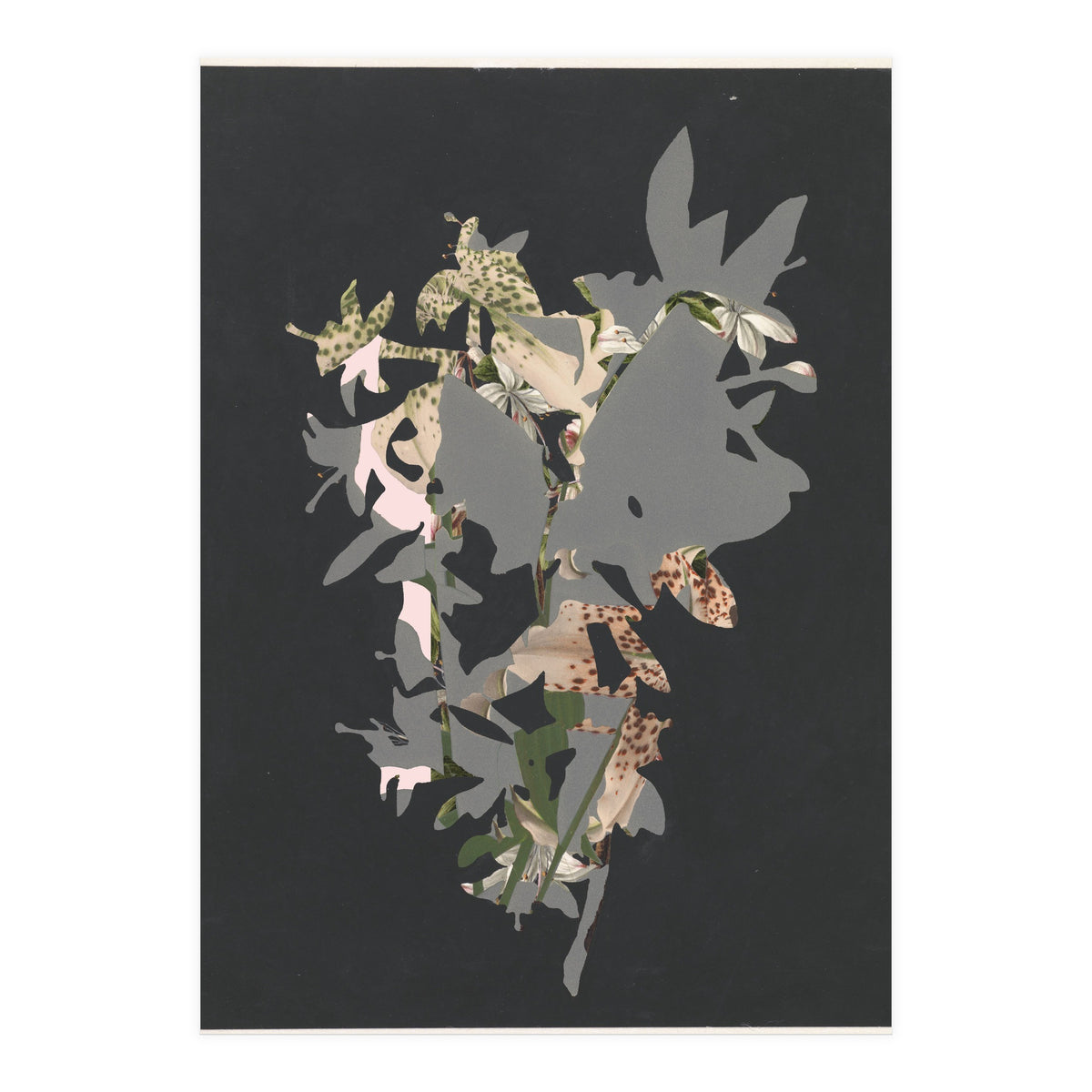 The First Plant · Black (Print Only)