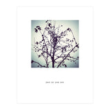 just as you are (Print Only) thumbnail