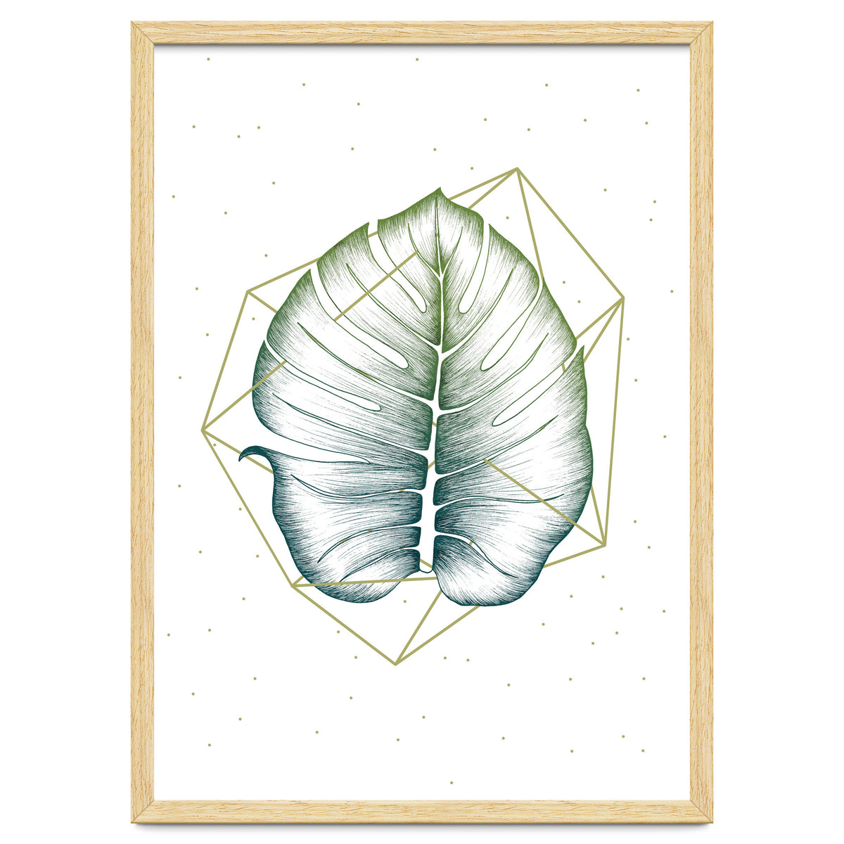 Geometry And Nature II