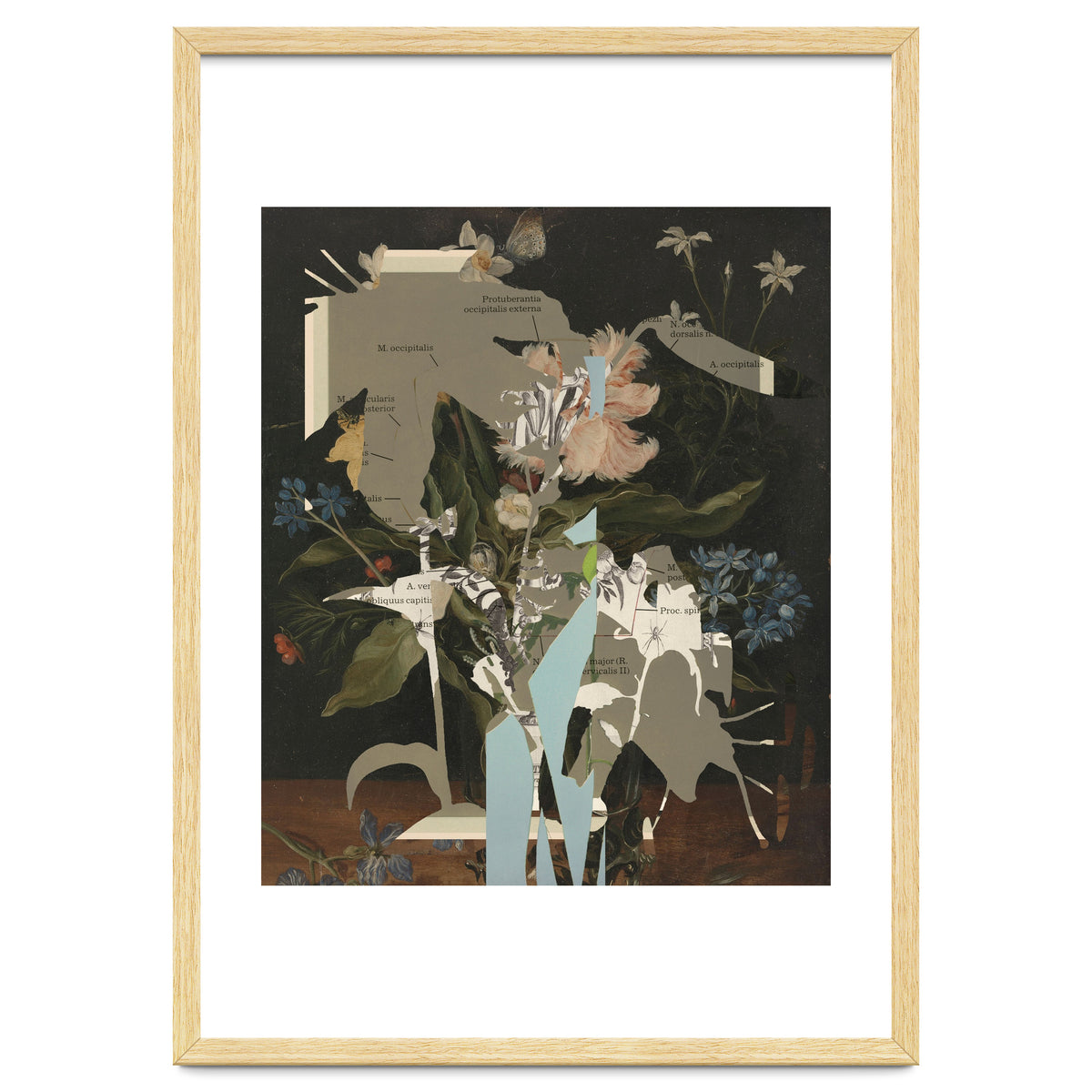 The First Plant · D2