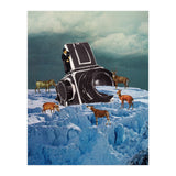 Cameraman (Print Only) thumbnail