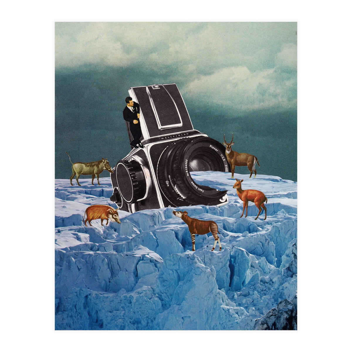 Cameraman (Print Only)