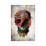 Skull (Print Only) thumbnail