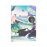 Beak Ruddy (Print Only) thumbnail