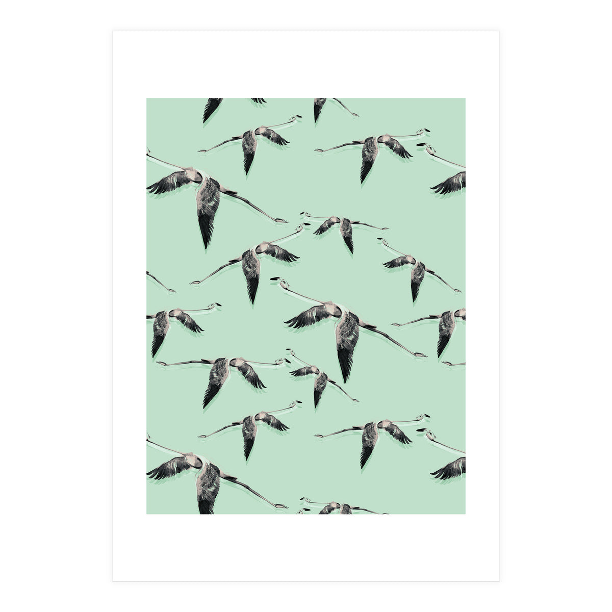Flight of flamingos (Print Only)