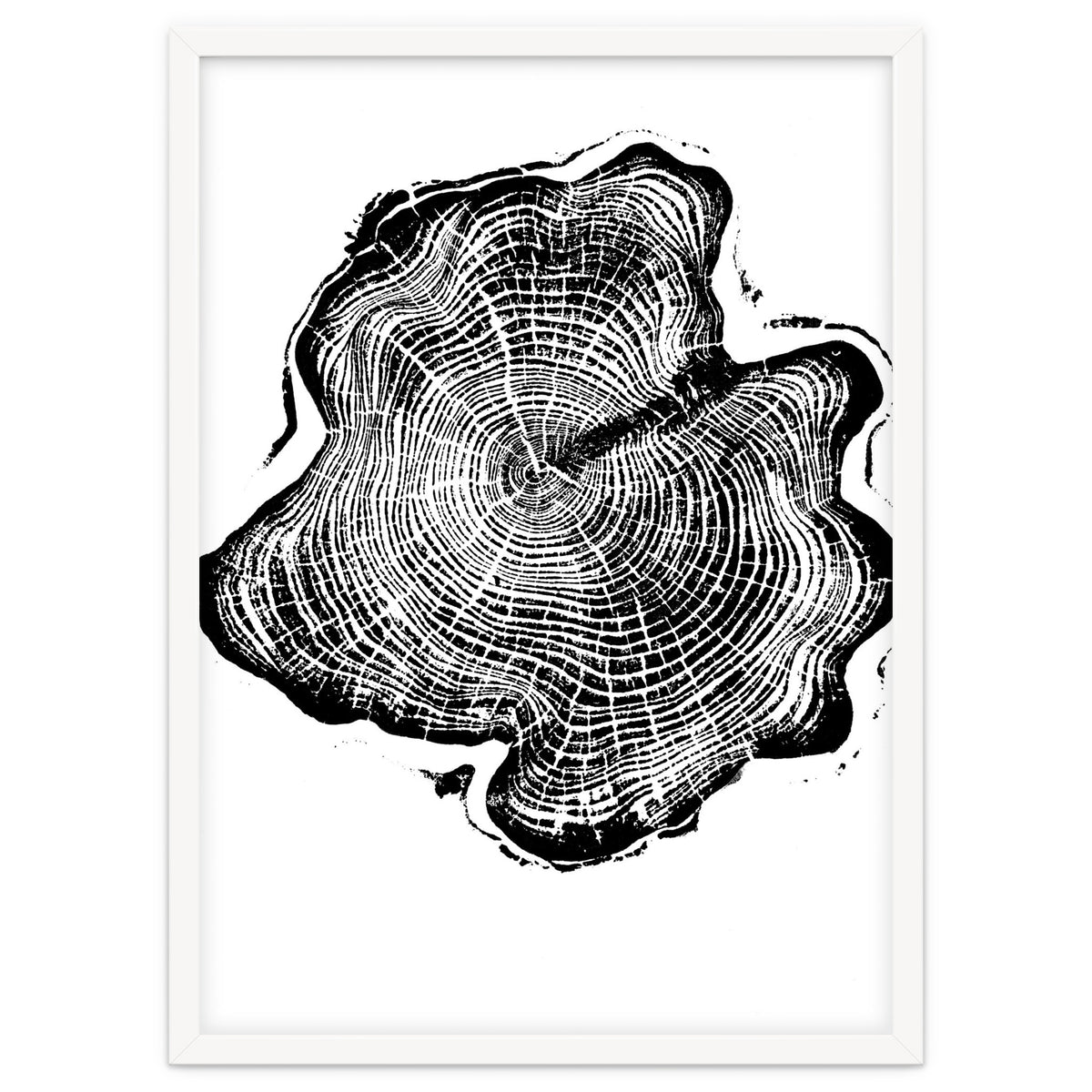 Alaskan Cypress, Tree Ring Art Print, Woodblock