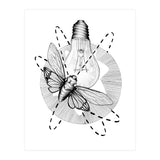 Moth To The Flame (Print Only) thumbnail