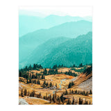 Delight Ii (Print Only) thumbnail
