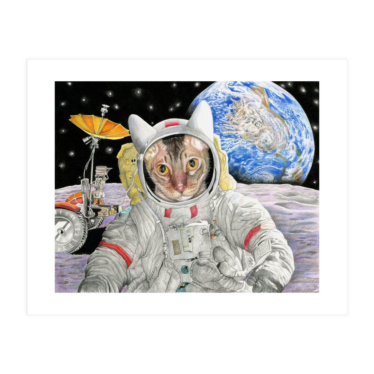 Nasacatadjustcolor (Print Only)