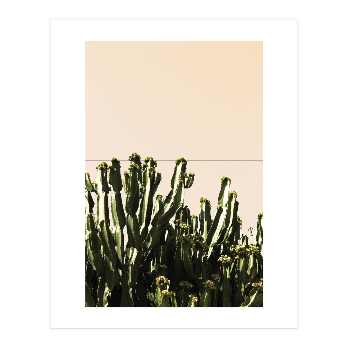 Cactus Vertical Color (Print Only)